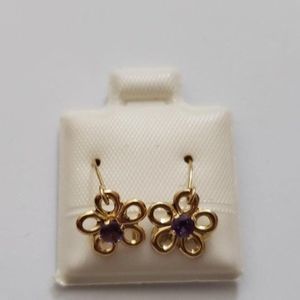 14K Amethyst Earrings